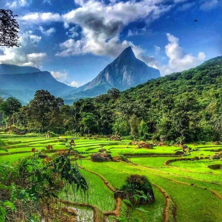 Meemure Village, Sri Lanka – A Complete Visitor’s Guide